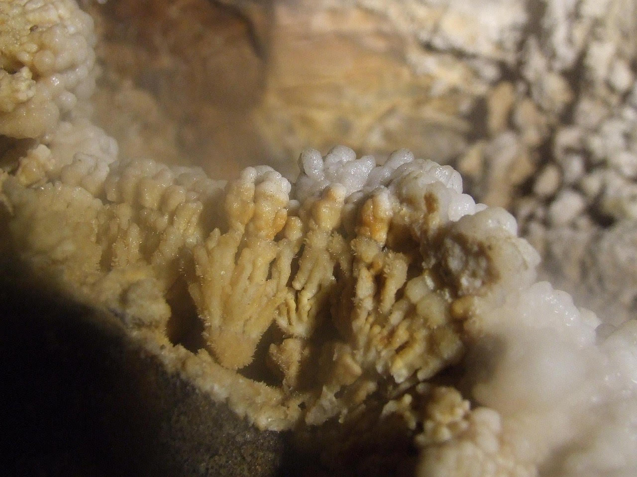 Aragonit – minerál známy aj ako onyx